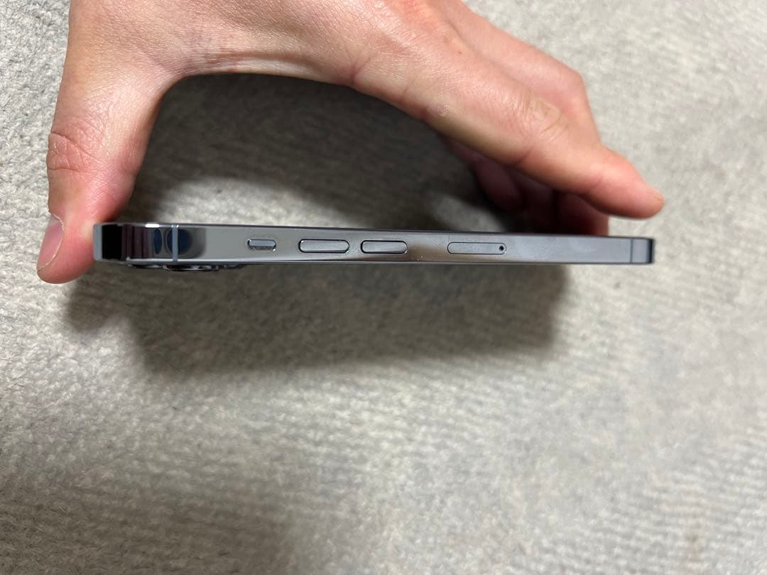 iPhone 13 Pro 256G本体画面不良