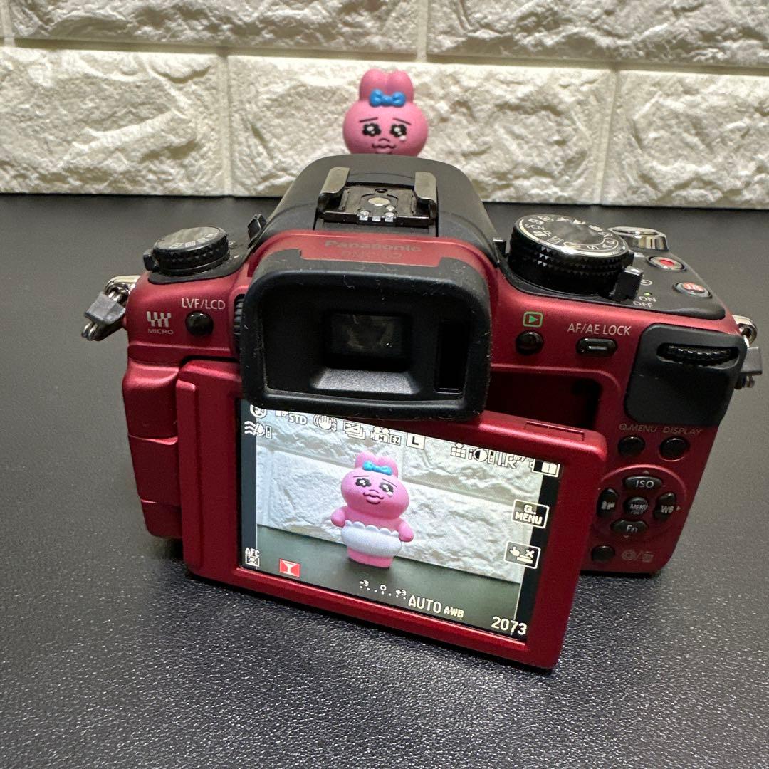 Panasonic LUMIX DMC-G2 レンズセット　動作確認済