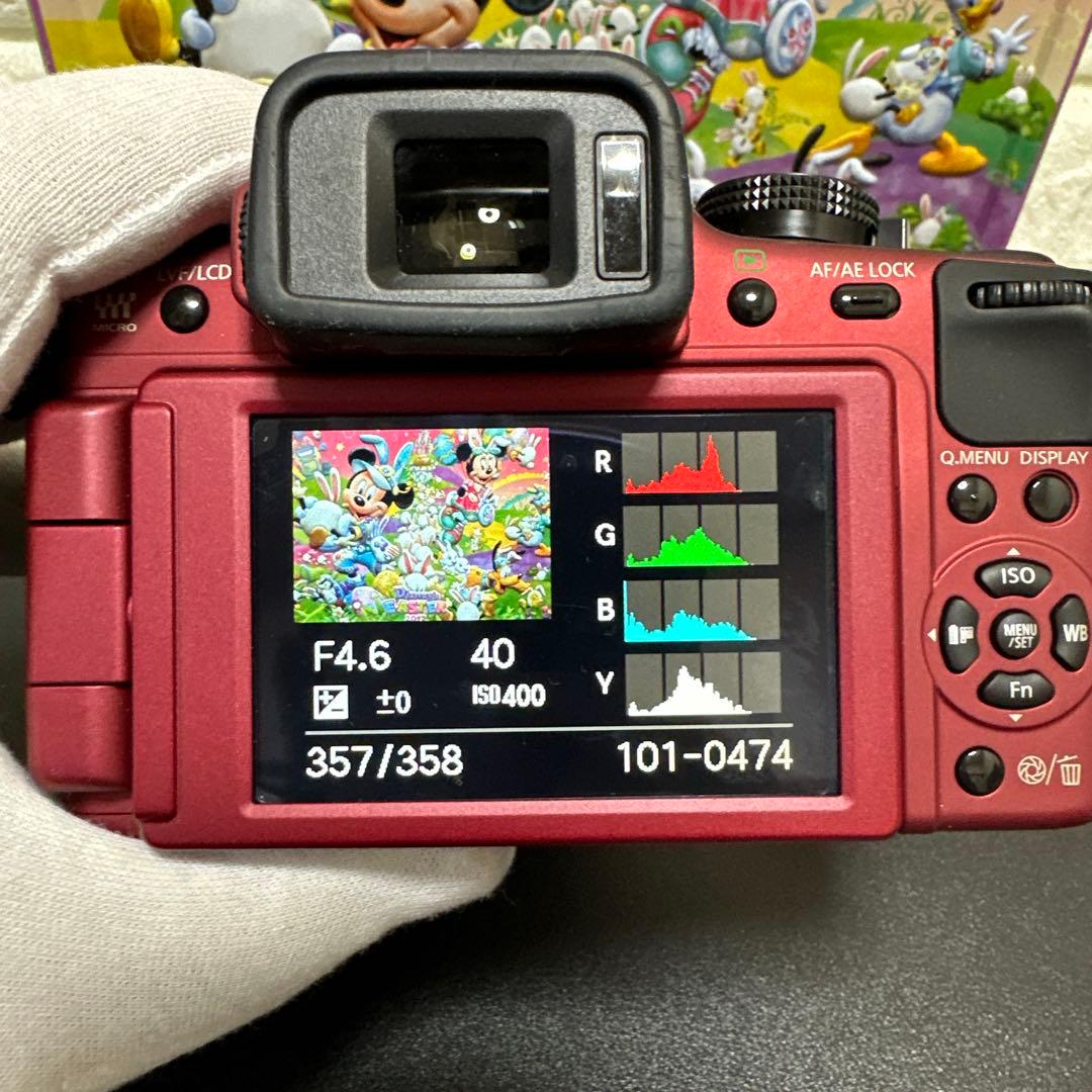 Panasonic LUMIX DMC-G2 レンズセット　動作確認済