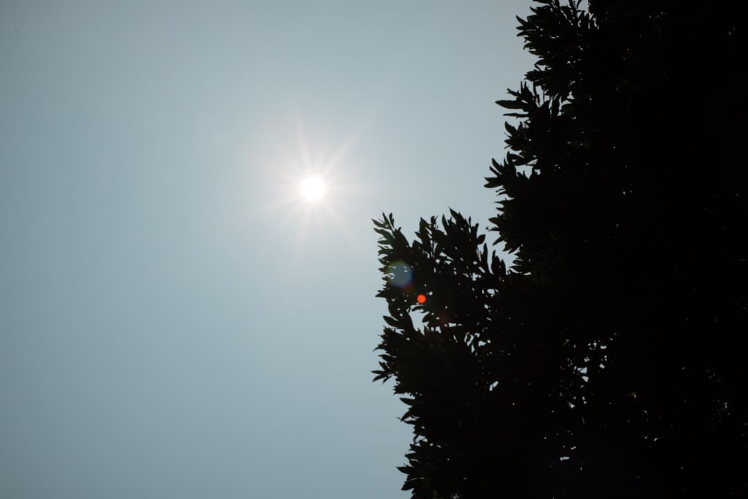 【整備＆テスト済】Nikon Ai-s Nikkor 50mm F1.4 430