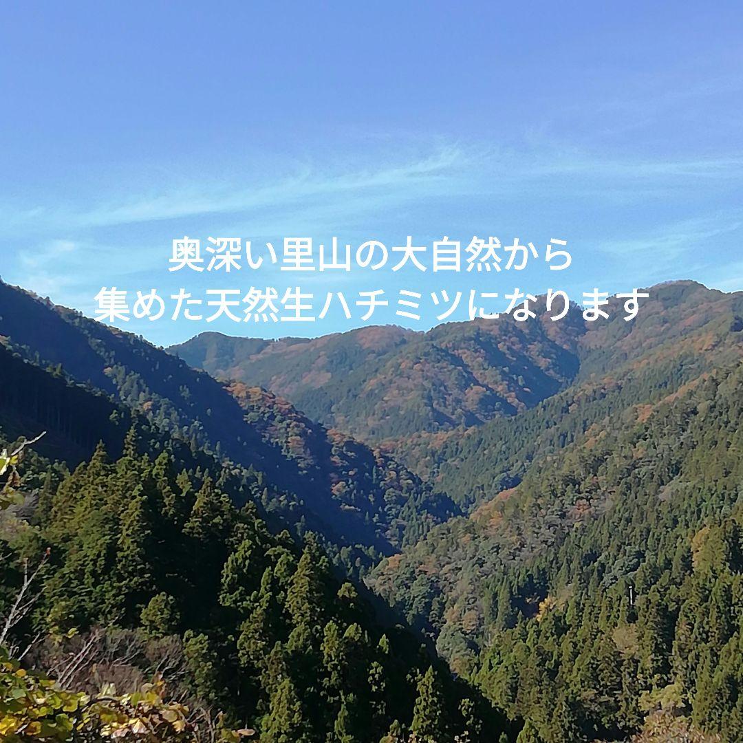 日本ミツバチ 日本蜜蜂　自然界天然の生ハチミツ400g2本　はちみつ　蜂蜜2年物