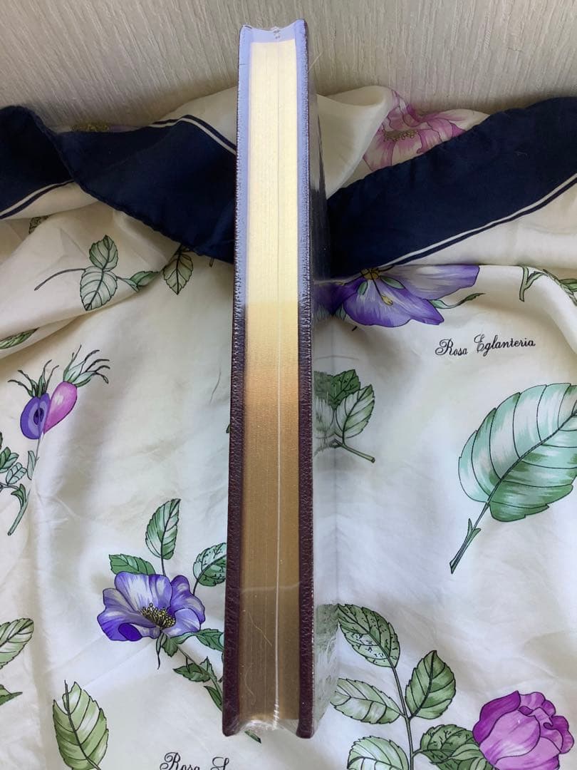 洋書 Alice's Adventures in Wonderland