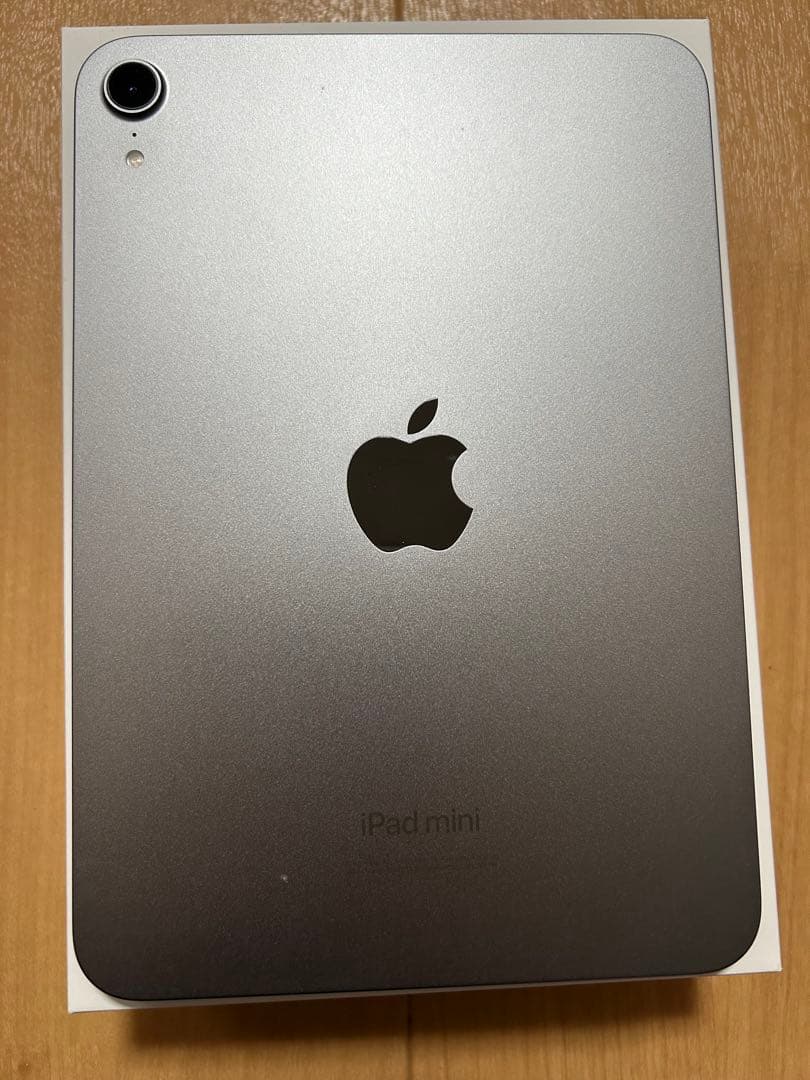 iPad mini A17Pro Apple PencilUSBタイプ