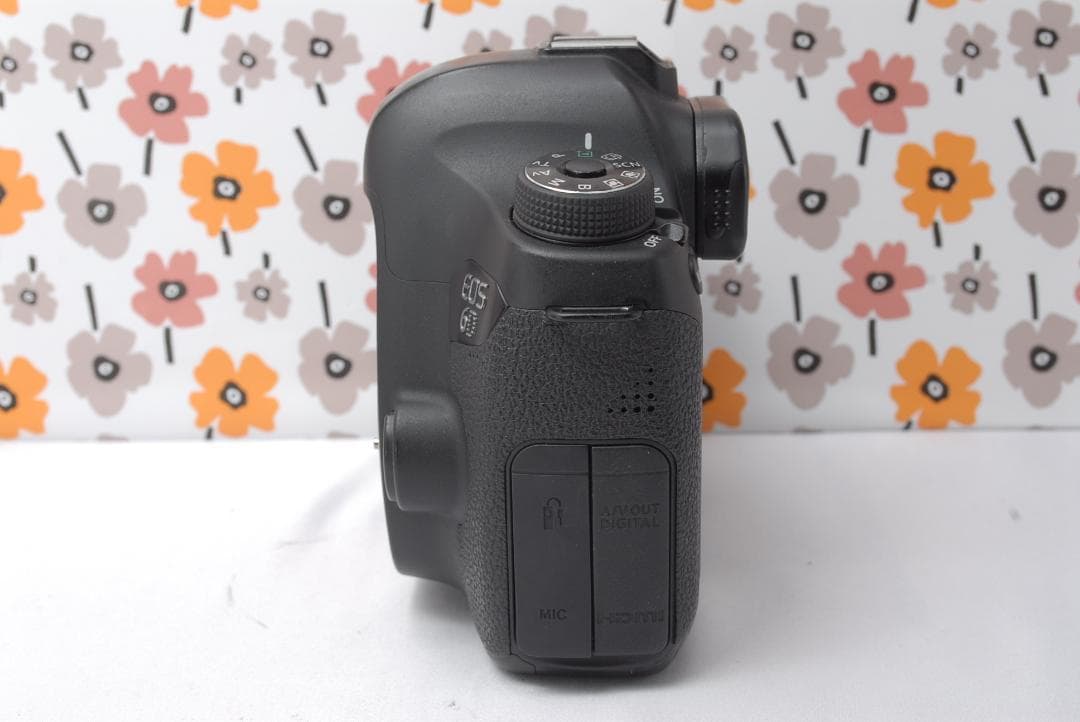 ❤Canon EOS 6D❤フルサイズ一眼レフ❤万能望遠レンズ❤Wi-Fi搭載❤