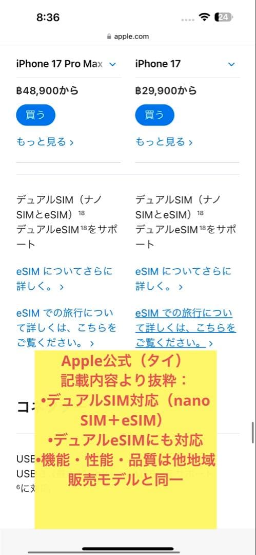 iPhone17 海外版