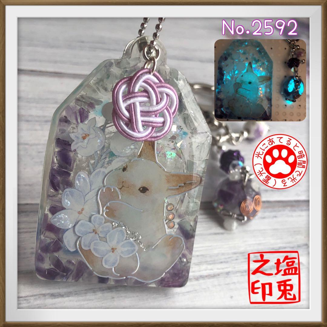 桔梗 サマ♡10点☆6/1