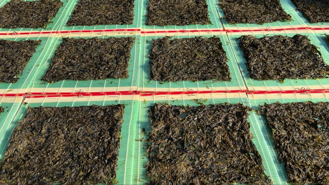 訳あり 出来たばかりの新春はばのり 35枚 12,180円 1枚あたり348円