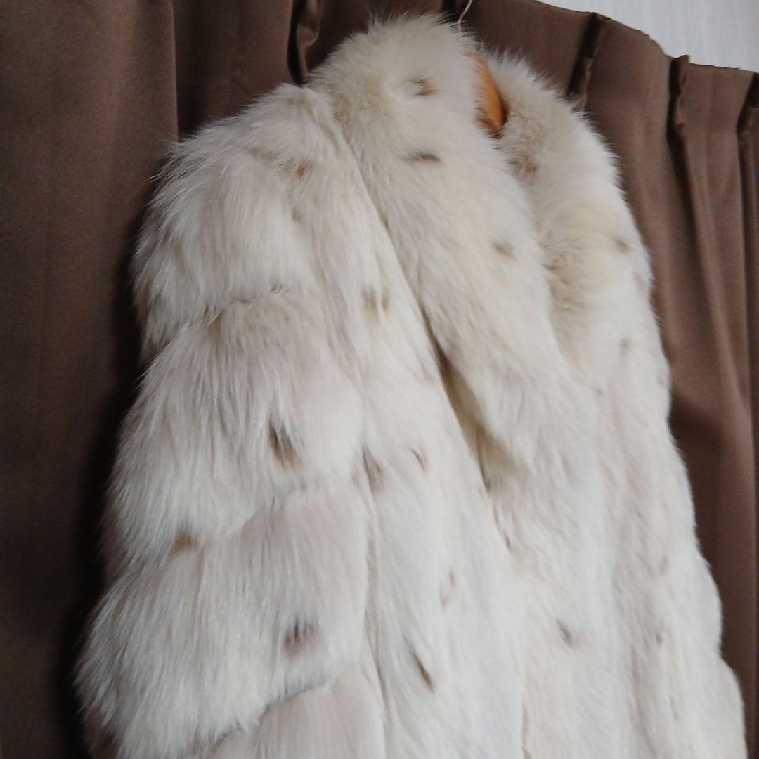 v*p様 11号)サガFOX 希少斑点(スポット)　肉厚