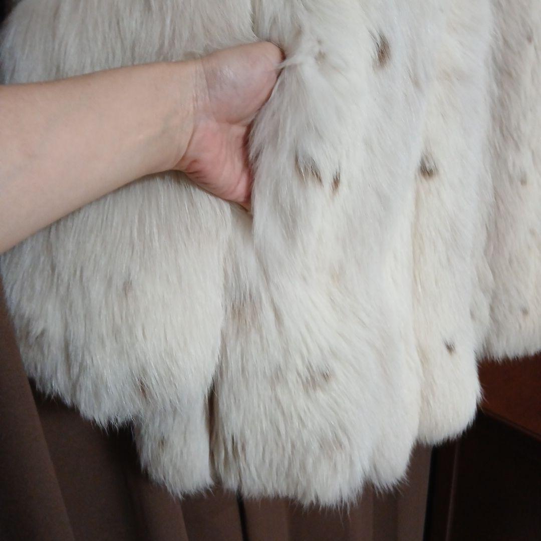 v*p様 11号)サガFOX 希少斑点(スポット)　肉厚