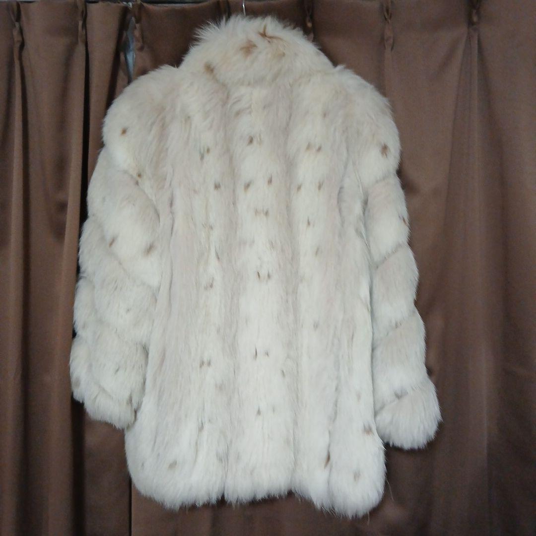 v*p様 11号)サガFOX 希少斑点(スポット)　肉厚