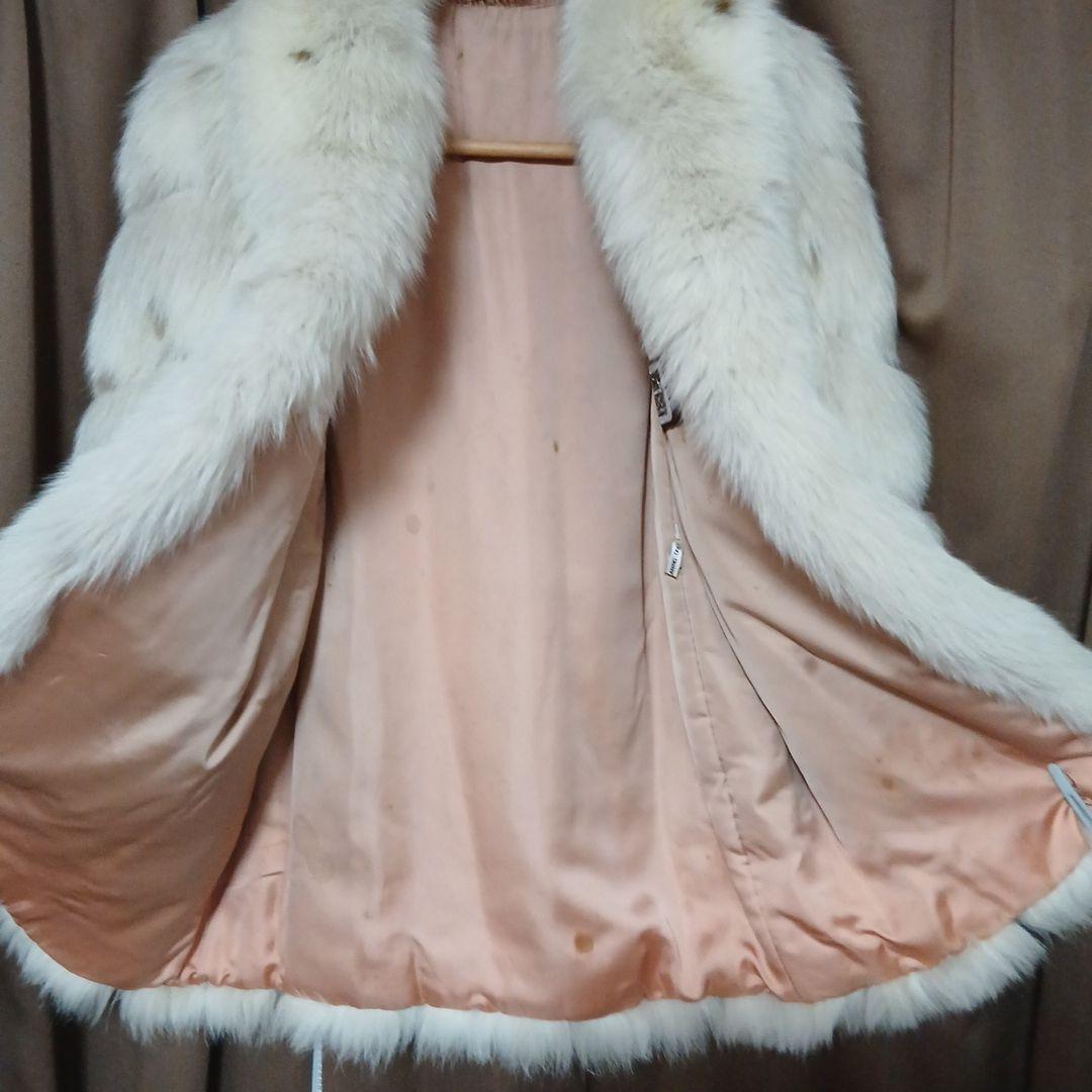 v*p様 11号)サガFOX 希少斑点(スポット)　肉厚