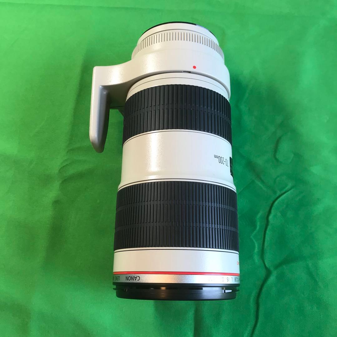 Canon EF70-200mm f/2.8L IS Ⅱ USM