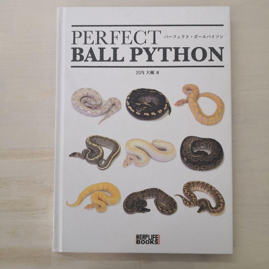 パーフェクト・ボールパイソン