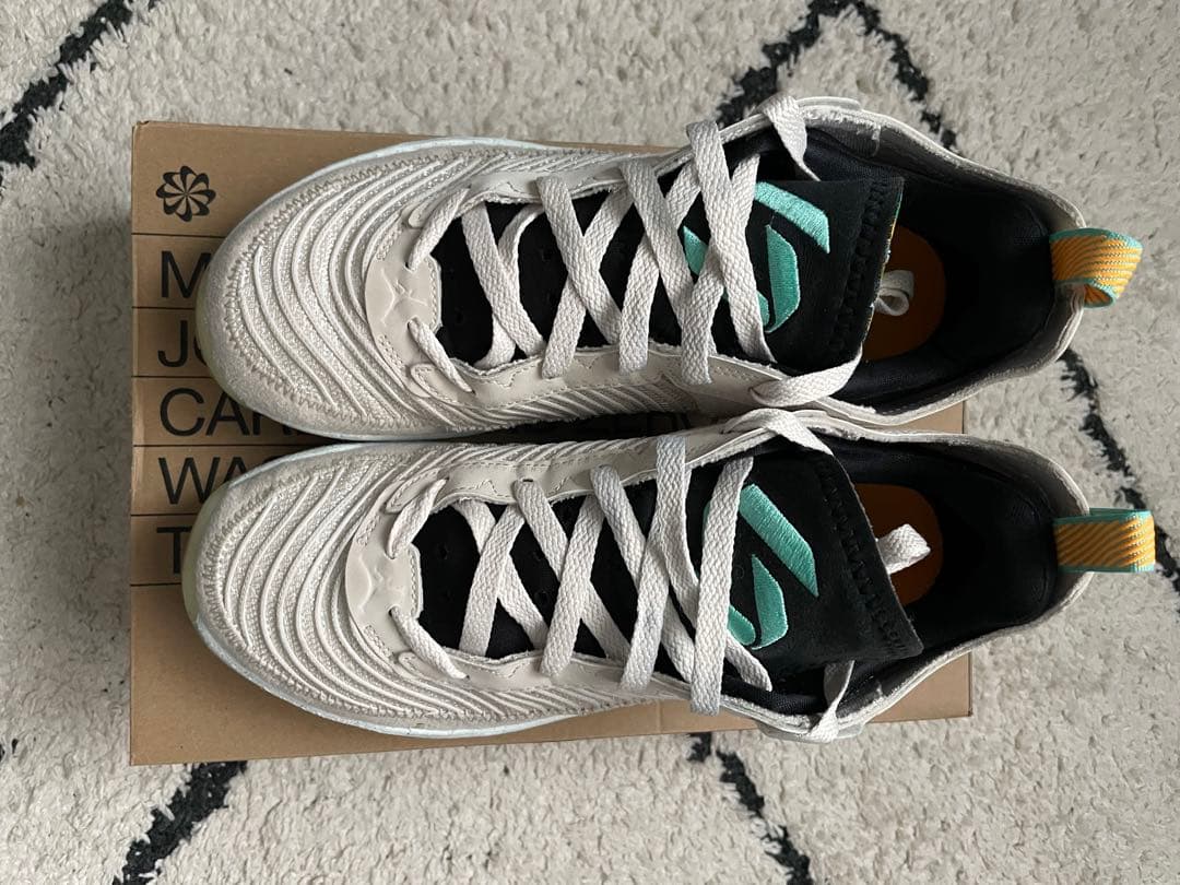 Nike Jordan ルカ1 Next Nature