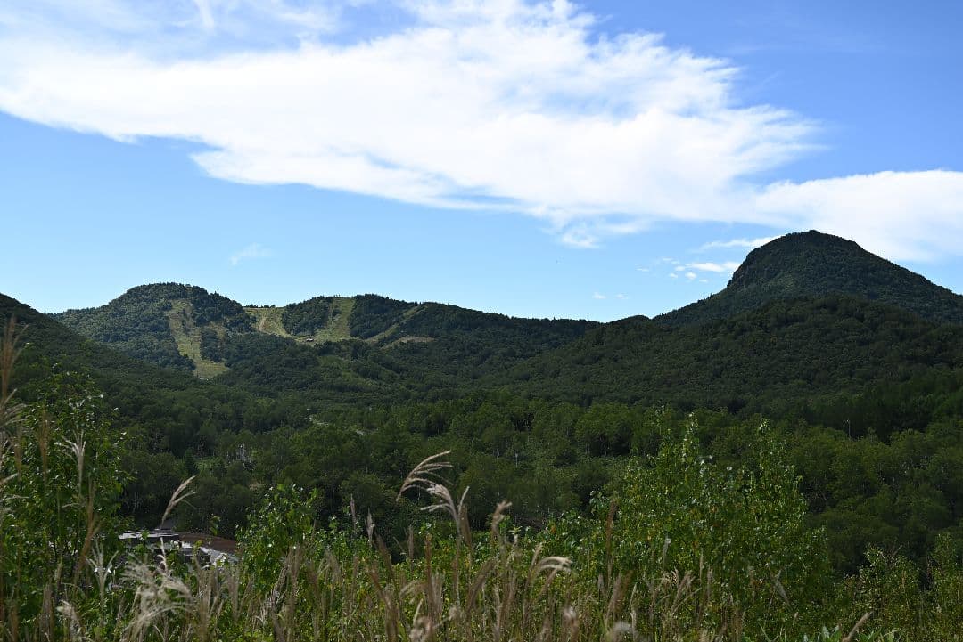 【Nikon Zマウント】NIKKOR Z 24-70mm f/4 S 美品