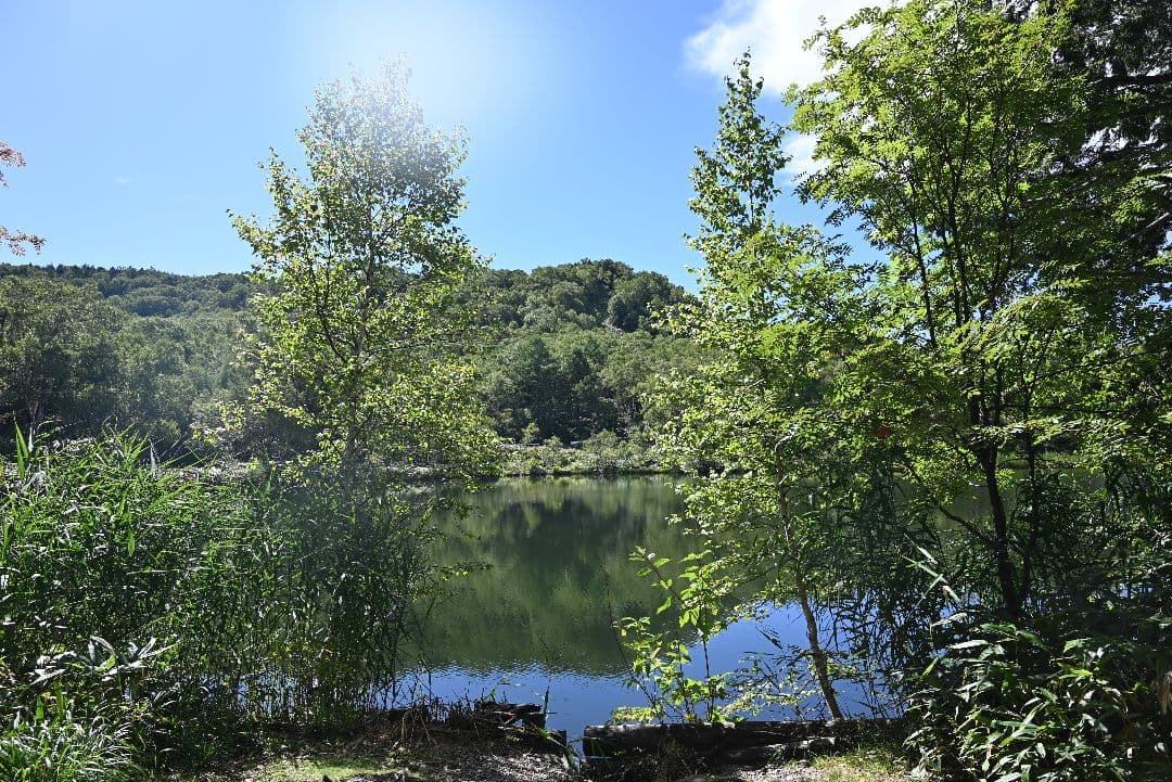 【Nikon Zマウント】NIKKOR Z 24-70mm f/4 S 美品