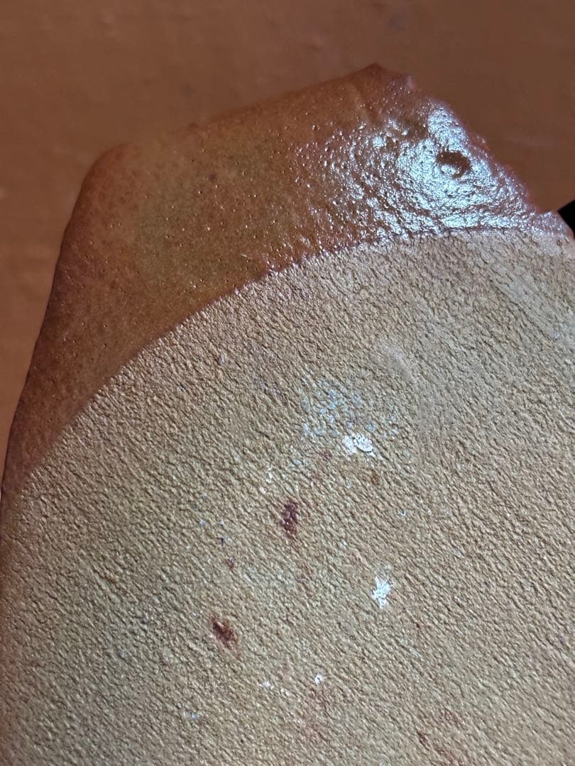 やまちゃん河井寛次郎作鉄黒釉朽葉形皿　検豊穣の森