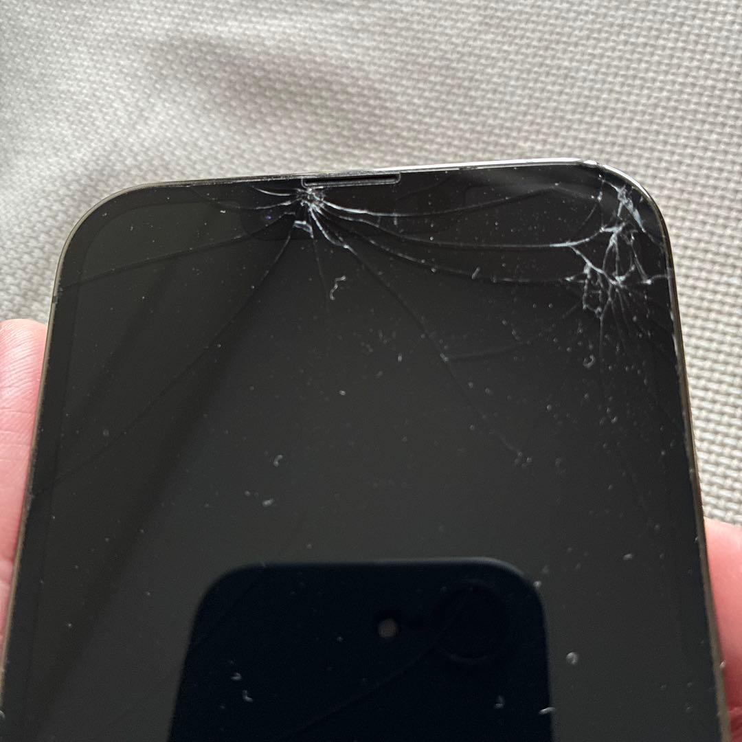 Apple iPhone 13 Pro グラファイト256GB 箱　ケーブル類