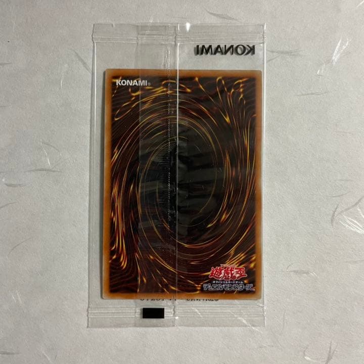 遊戯王　WCS2019 レッドアイズ　死者蘇生　封筒セット