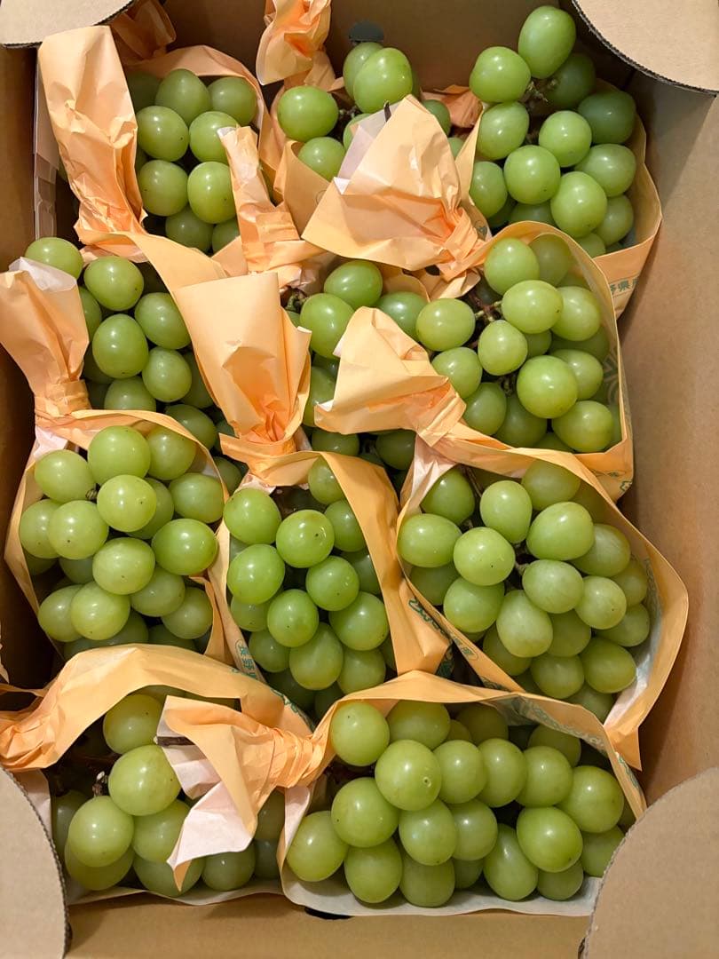 長野県産　シャインマスカット　11房セット　5kg