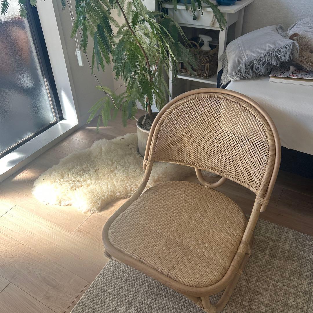 ラタン製カジュアルローチェア
