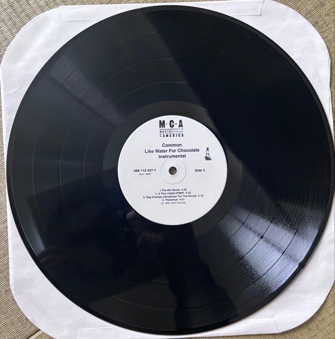Common Like Water For Chocolate Inst　LP