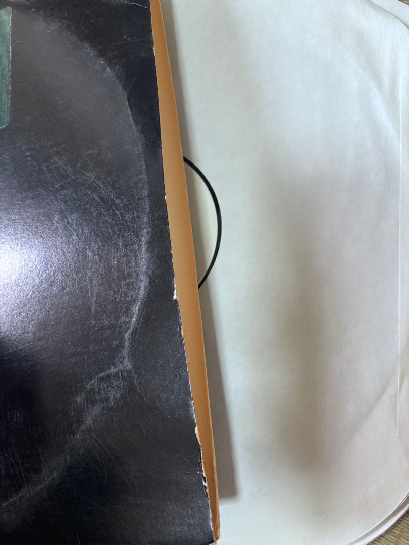 Common Like Water For Chocolate Inst　LP