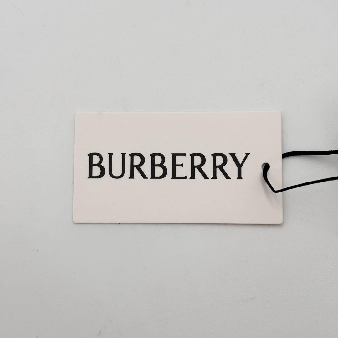 新品未使用 バーバリー B4308 3853/87 ノバチェック サングラス