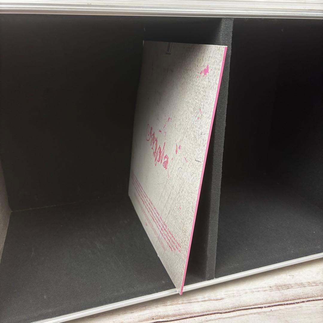 ARMOR アルモア レコード ハードケース ②