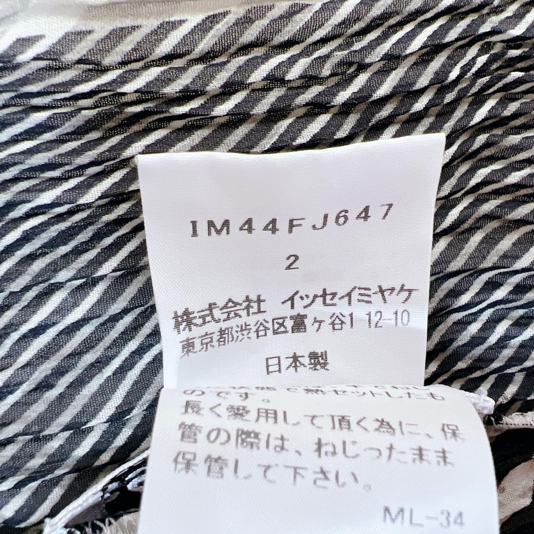 ISSEY MIYAKE イッセイミヤケ プリーツ カットソー ストライプ 黒