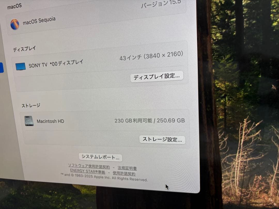 Mac mini 2018 Core i7 3.2GHz 6コア 16G 256