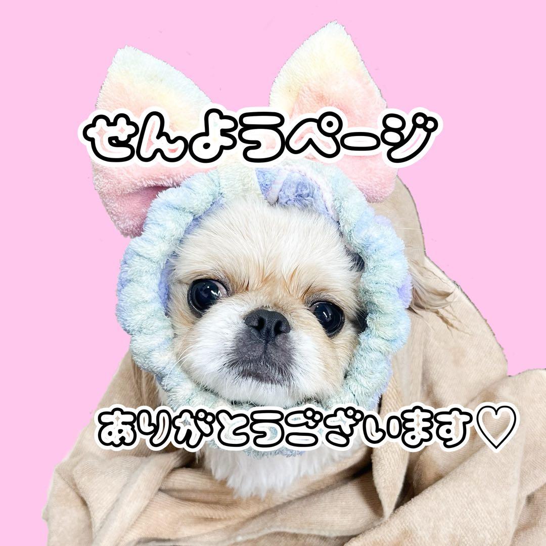 専用ページ☆ ラッピング シール 詰め合わせ☆