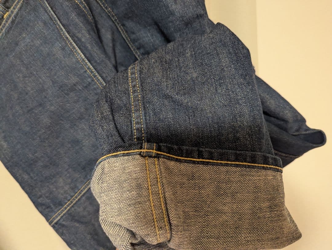 パンツ SASSAFRAS FALL LEAF SPRAYER PANTS DENIM