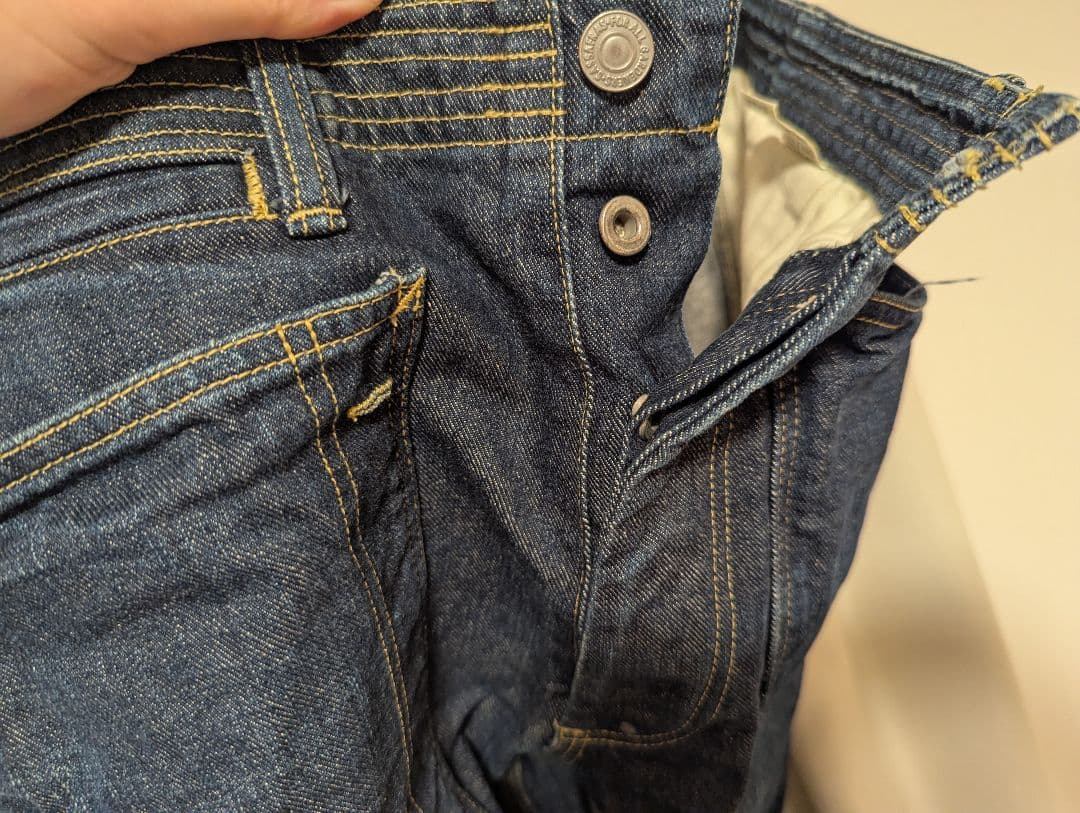 パンツ SASSAFRAS FALL LEAF SPRAYER PANTS DENIM