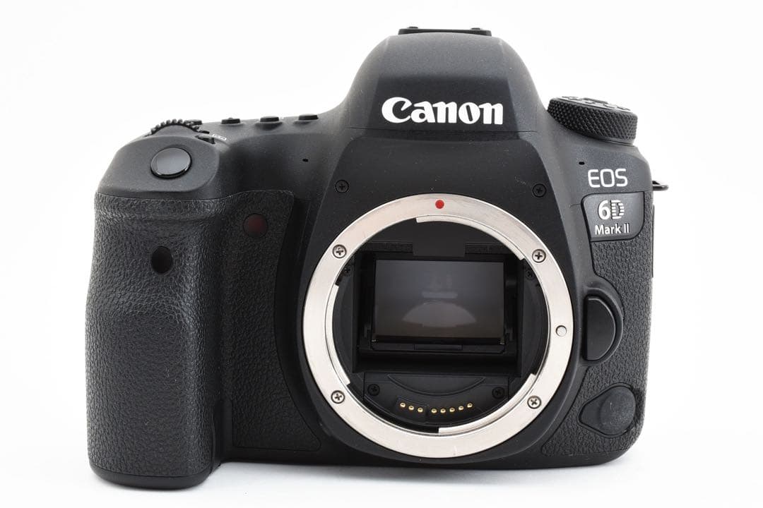 一眼レフカメラ Canon EOS 6D Mark II標準&望遠レンズセット