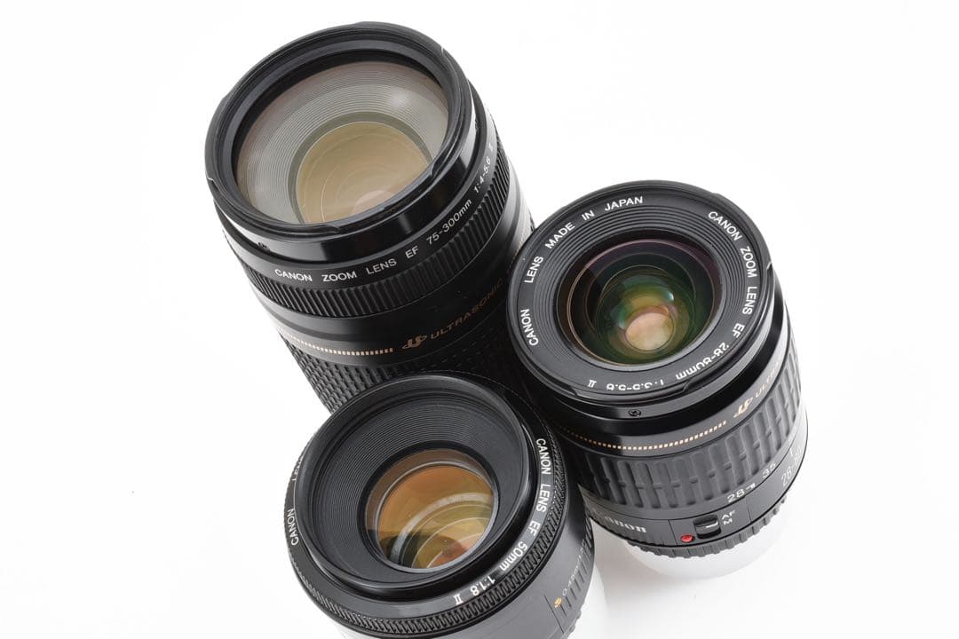 一眼レフカメラ Canon EOS 6D Mark II標準&望遠レンズセット