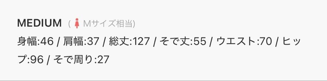 LEJA 異素材シアー刺繍レース透け感プリーツスリーブロング丈ドレスワンピースM