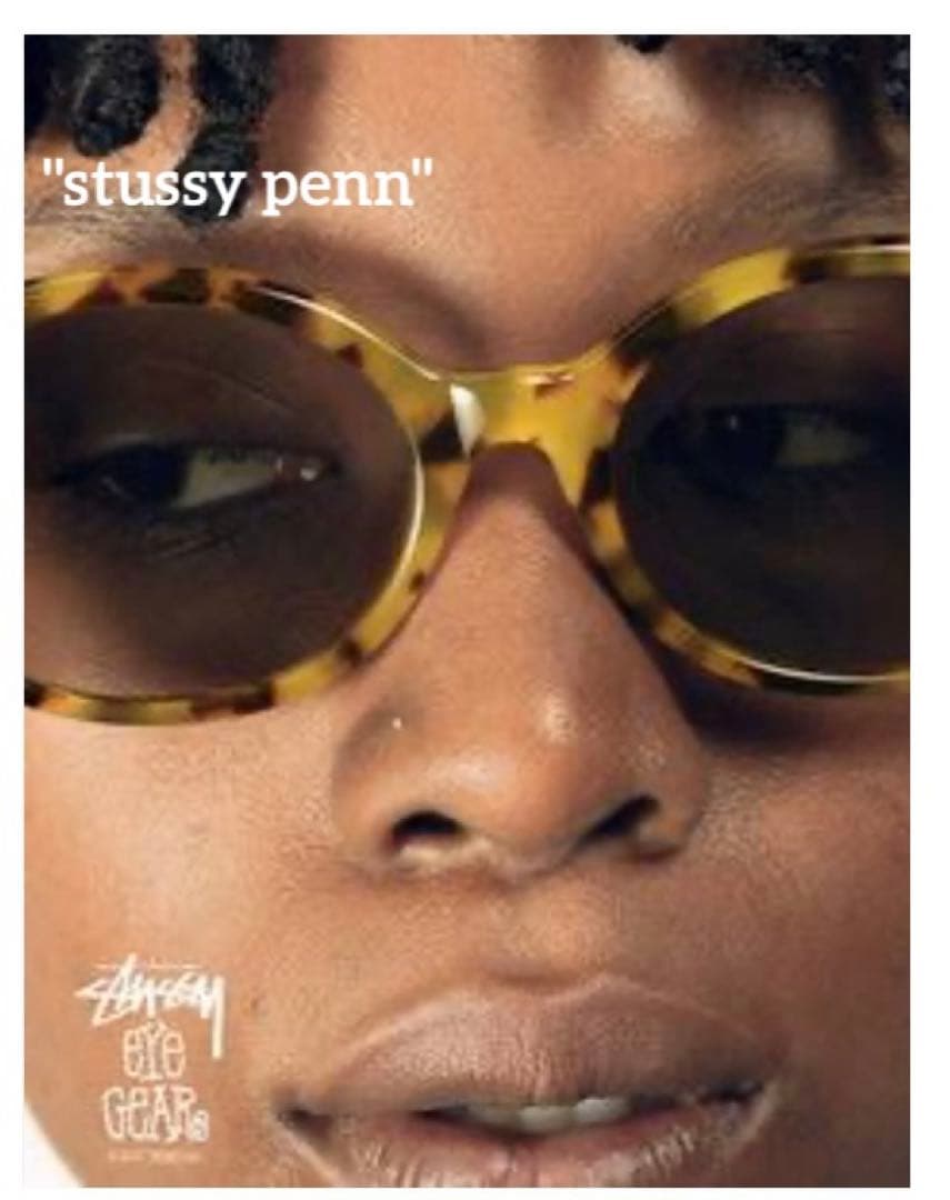 stussy penn Eye Gear べっ甲柄　サングラス ステューシー