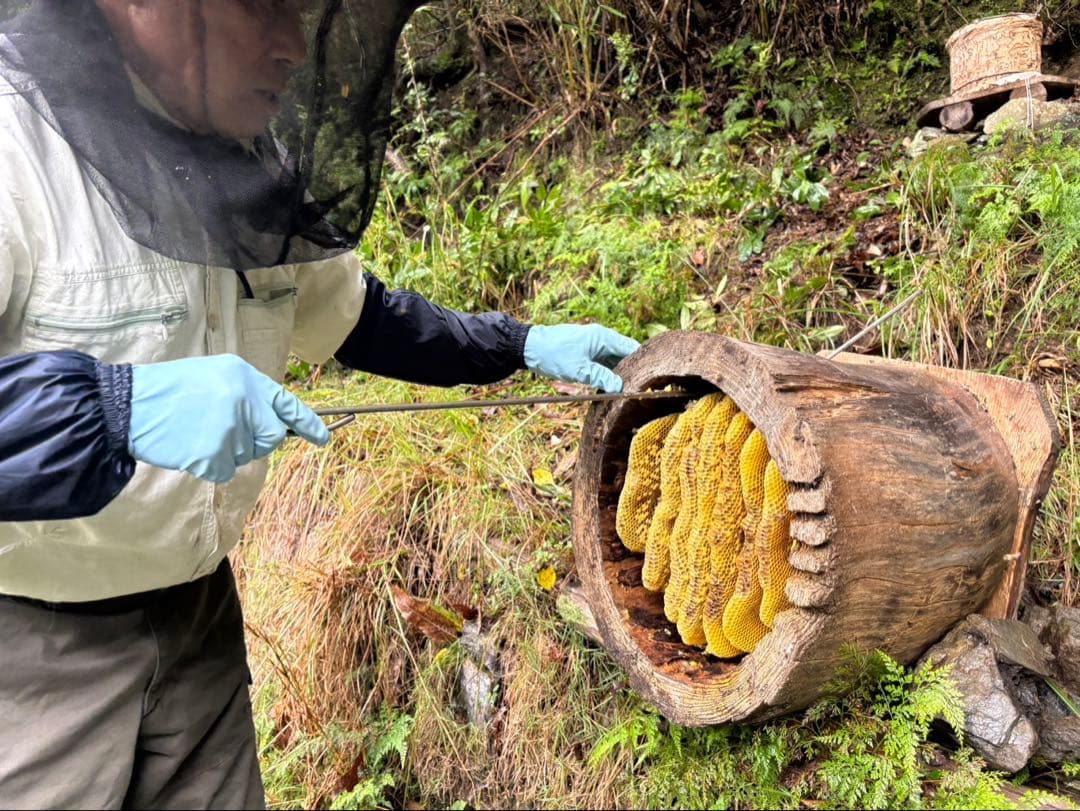 ニホンミツバチの非加熱・無農薬・無添加の生蜂蜜