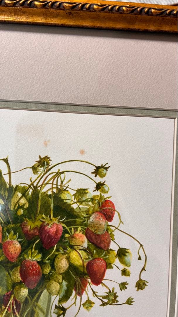 橋本不二子 「苺」 リトグラフ ボタニカルアート 絵画