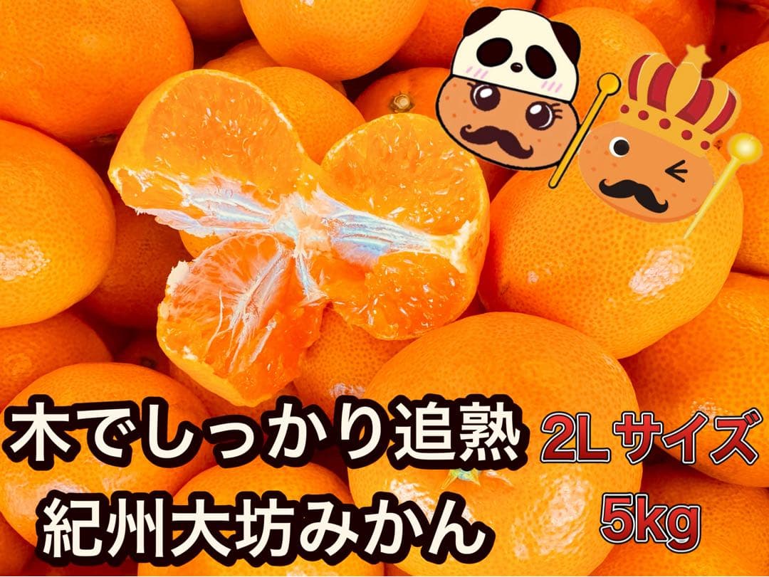 専用出品　プーリン様　10kg