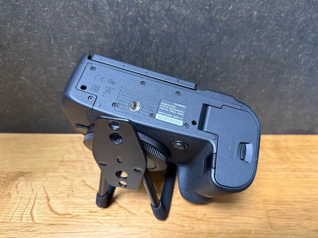 EOS R6レンズキット / RF24-105mm F4-7.1 IS STM