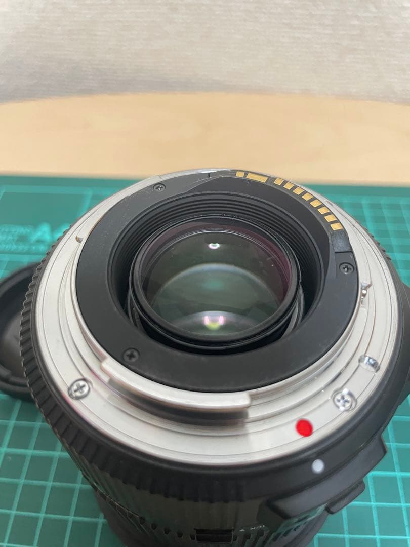 シグマ　SIGMA 17-50mm F2.8 (キャノン用)