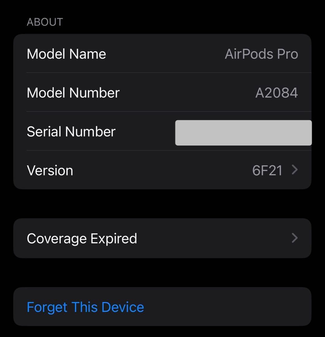 Apple AirPods Pro（第1世代） 本体 充電ケース付