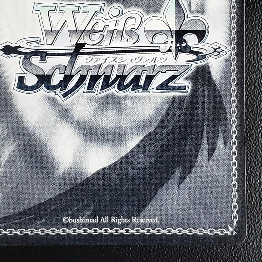 ヴァイス SSP 白い稲妻 タマモクロス 大空直美 箔押しサイン