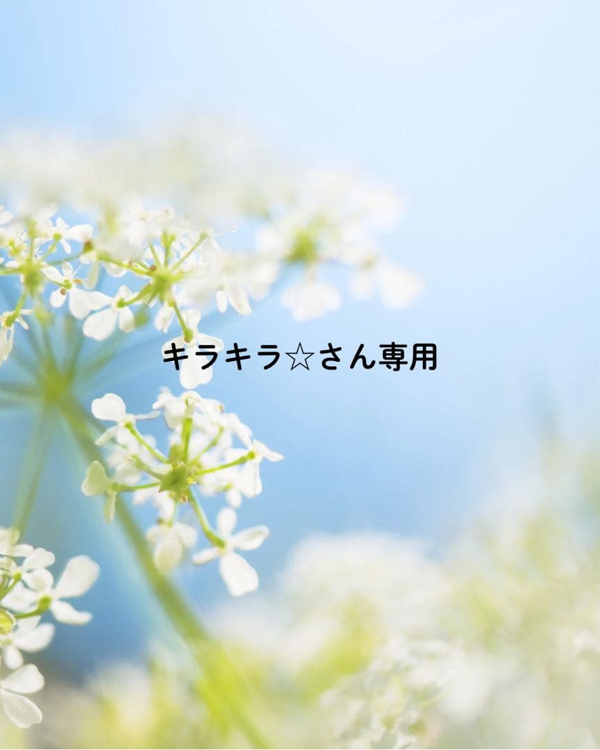 キラキラ☆さん専用