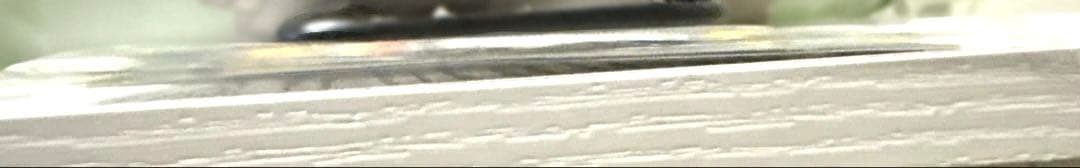 [未開封]レックウザ　ノブナガの野望　プロモ