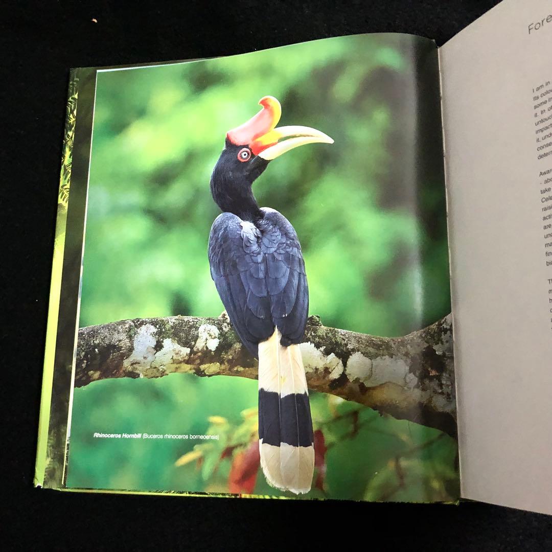 ボルネオ島 野生動物 写真集「Borneo's Wildlife」