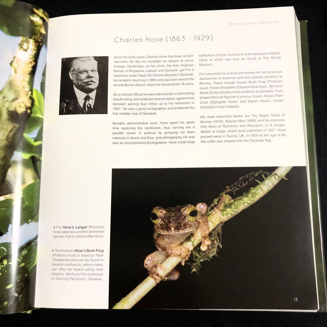 ボルネオ島 野生動物 写真集「Borneo's Wildlife」