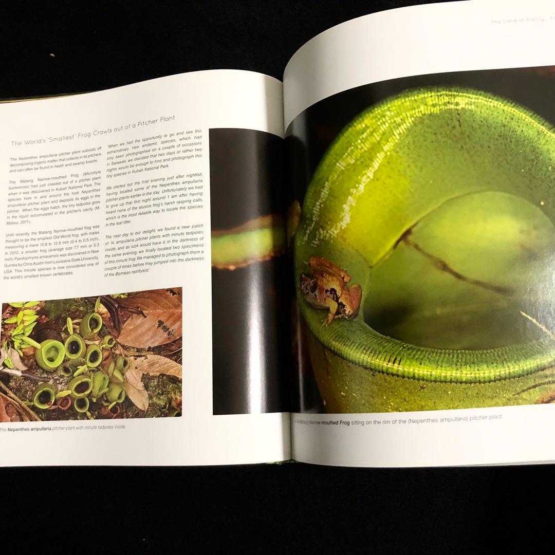 ボルネオ島 野生動物 写真集「Borneo's Wildlife」